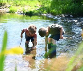 Kinderfotos in der Natur - Zwei kleine Jungen beim Familienshooting in der Natur